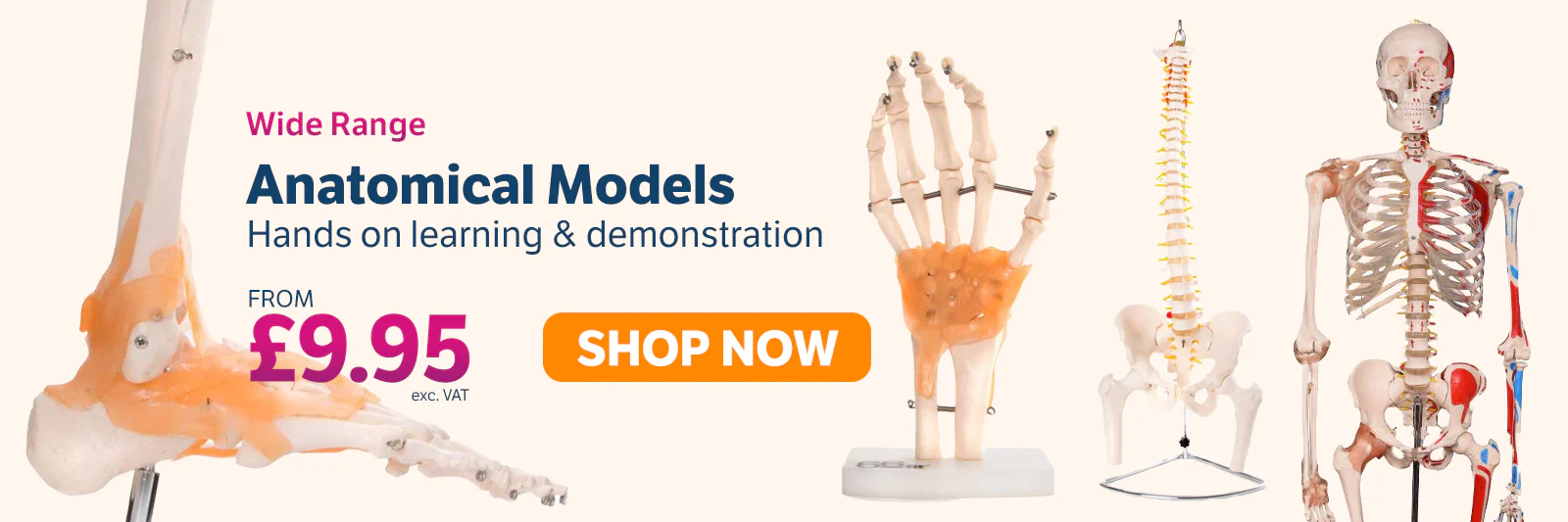 Welcome to Our Store